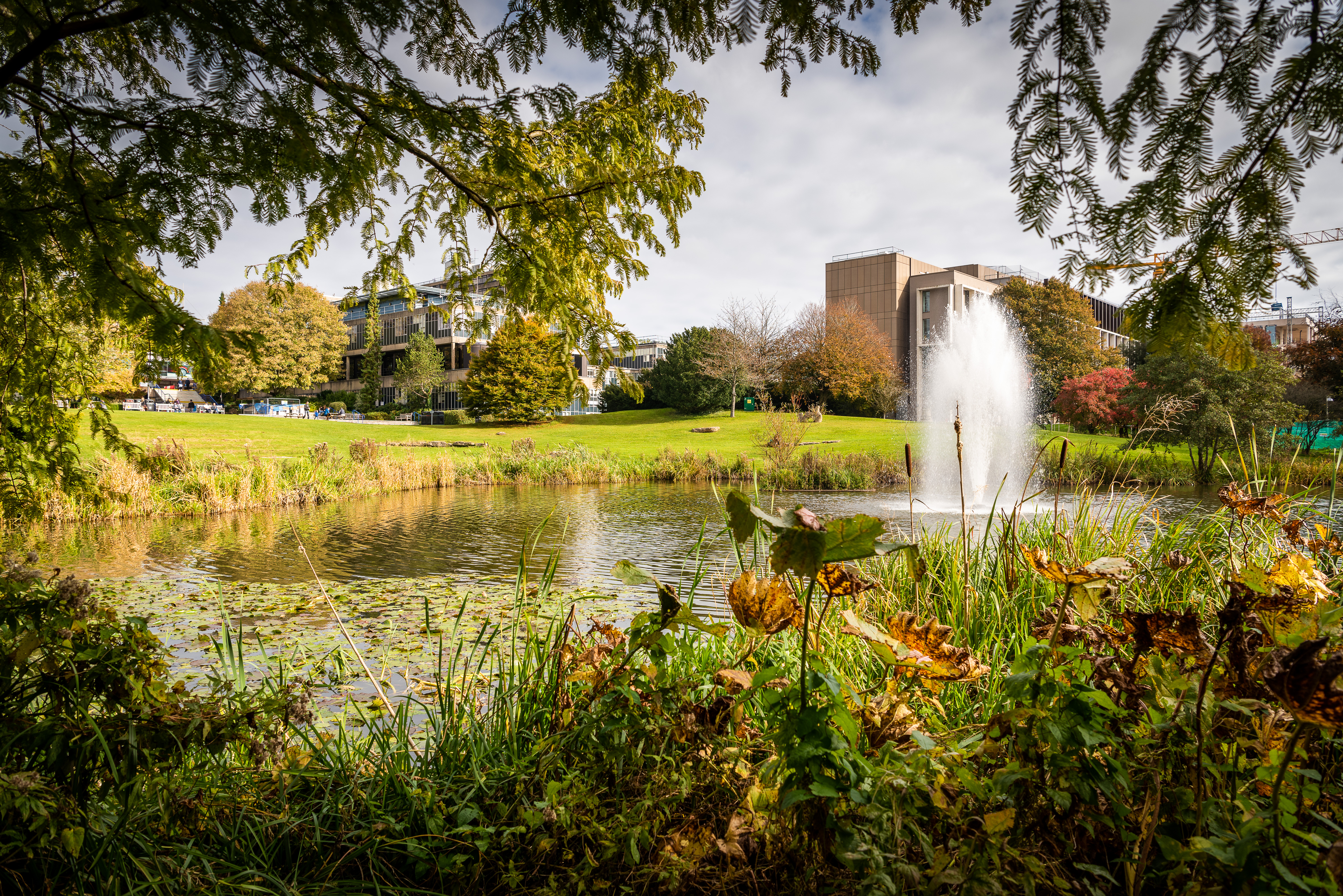 University of Bath